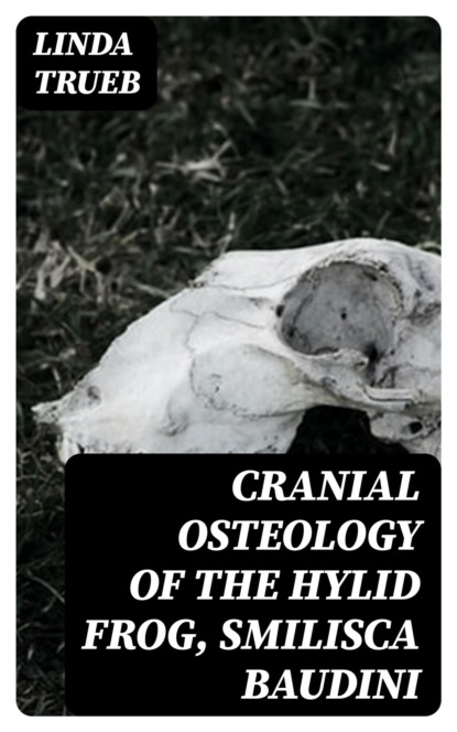 Cranial Osteology of the Hylid Frog, Smilisca baudini