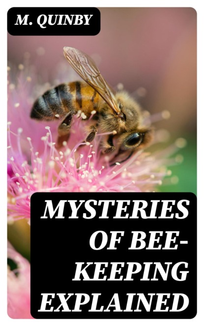 Mysteries of Bee-keeping Explained