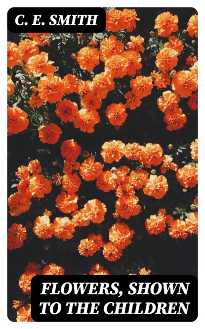 Flowers, Shown to the Children