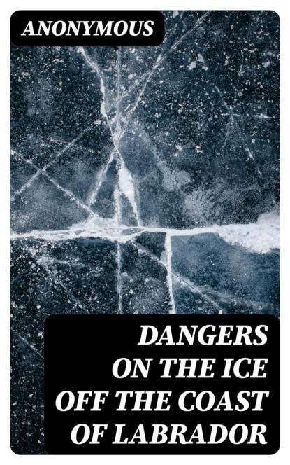 Dangers on the Ice Off the Coast of Labrador