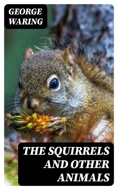 The Squirrels and other animals