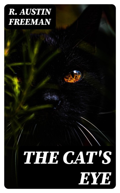 The Cat's Eye