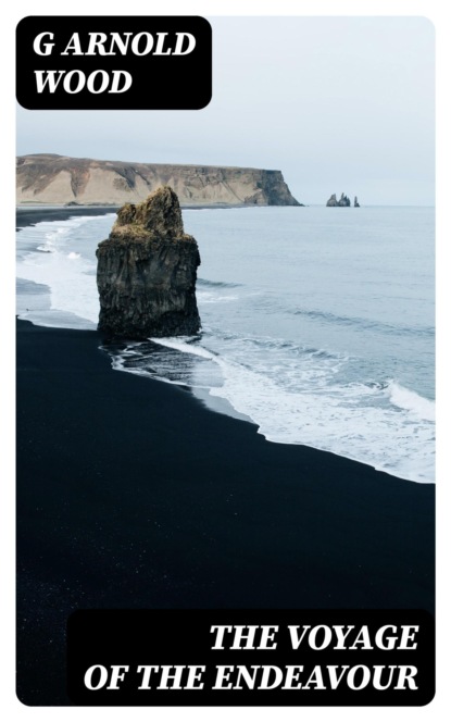 The Voyage of the Endeavour