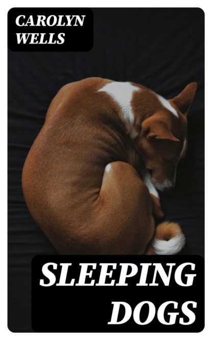 Sleeping Dogs