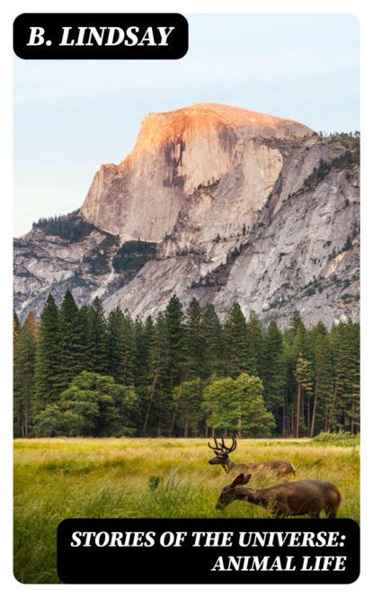 Stories of the Universe: Animal Life