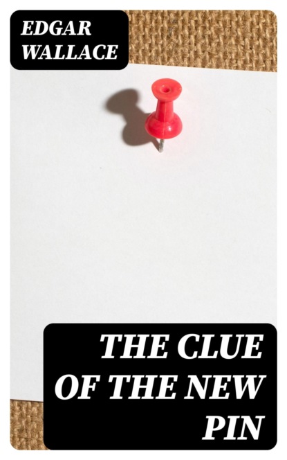 The Clue of the New Pin