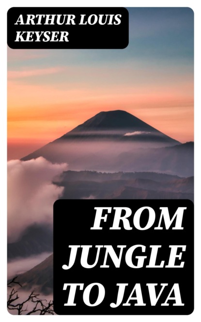 From Jungle to Java