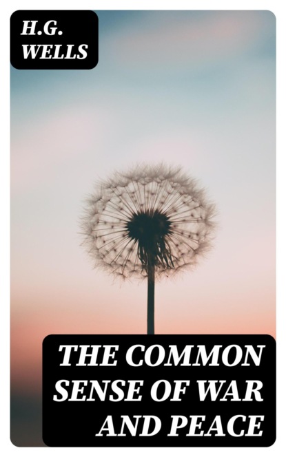 The Common Sense of War and Peace