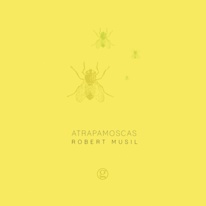 Atrapamoscas