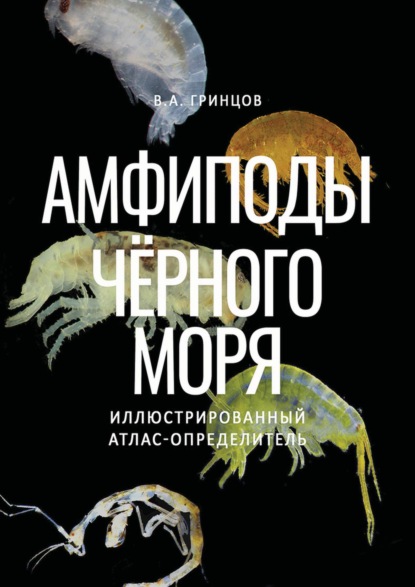 В. А. Гринцов — Амфиподы Чёрного моря. Иллюстрированный атлас-определитель