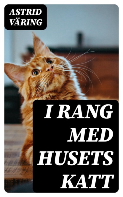 I rang med husets katt