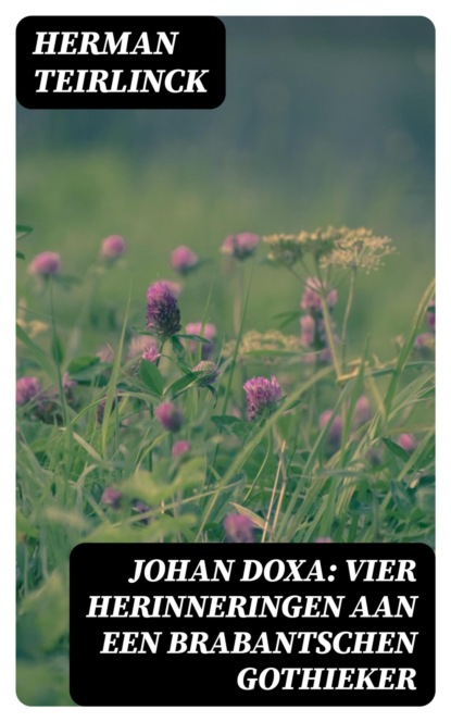 Johan Doxa: Vier herinneringen aan een Brabantschen Gothieker