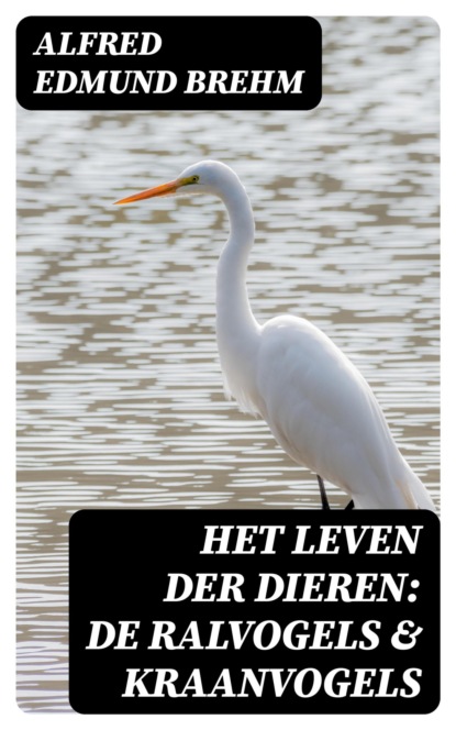 Het Leven der Dieren: De Ralvogels & Kraanvogels