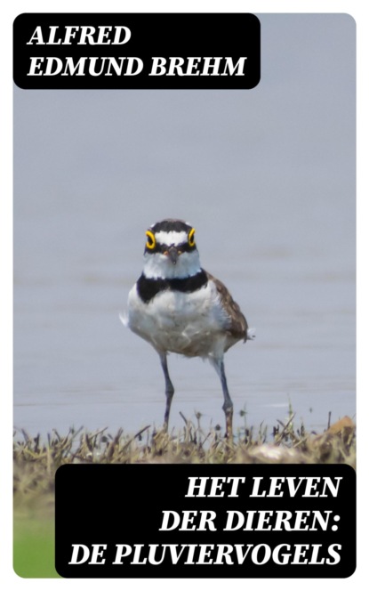 Het Leven der Dieren: De Pluviervogels