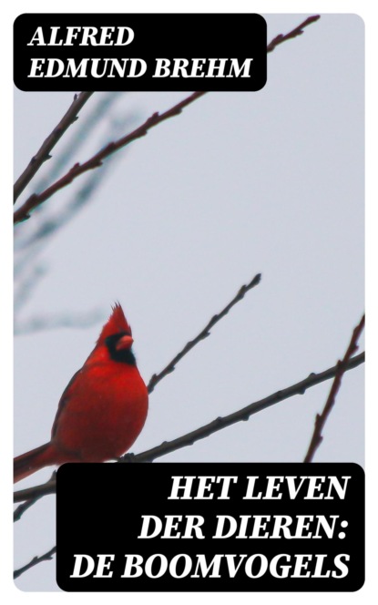 Het Leven der Dieren: De Boomvogels