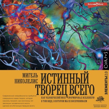 Мигель Николелис — Истинный творец всего. Как человеческий мозг сформировал вселенную в том виде, в котором мы ее воспринимаем