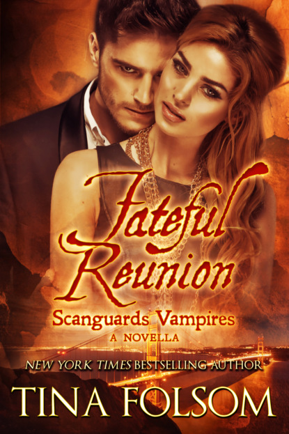 Fateful Reunion (A Scanguards Novella)