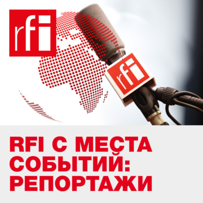 Пожар в соборе Парижской Богоматери, два года спустя