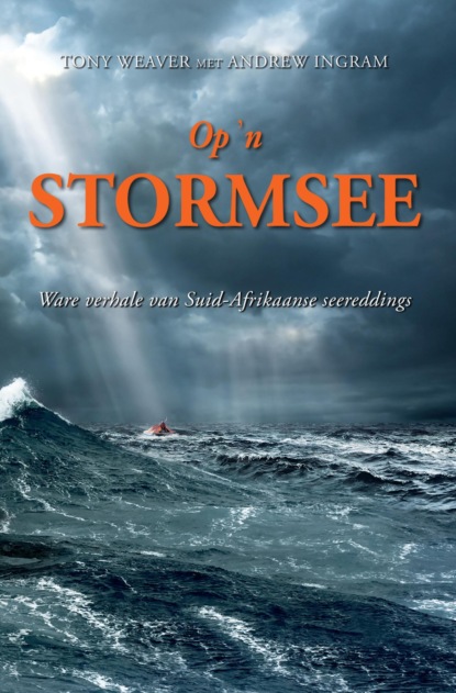 Op 'n stormsee