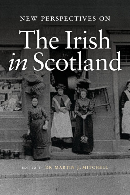 New perspectives on the Irish in Scotland