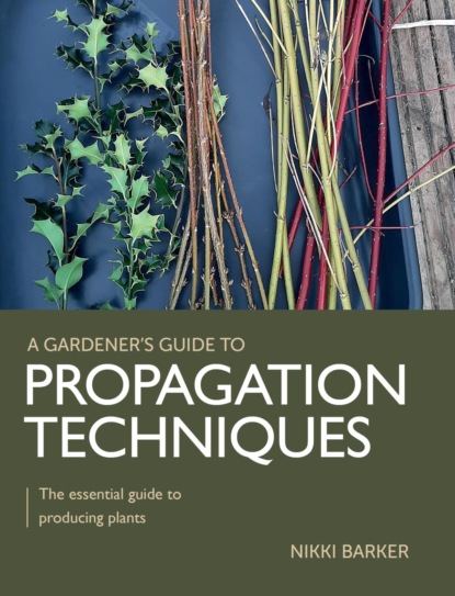 Gardener's Guide to Propagation Techniques