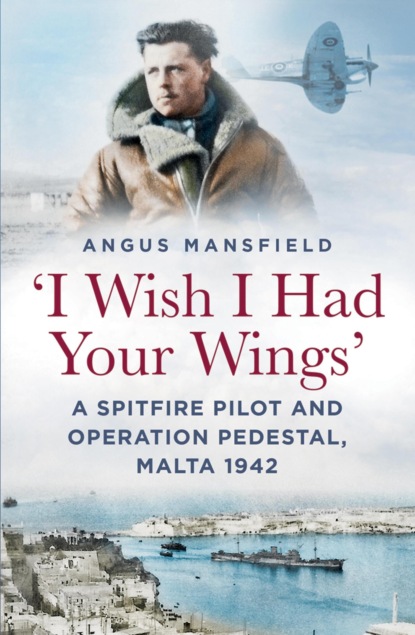 'I Wish I Had Your Wings'