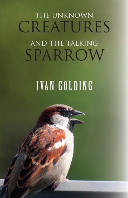 The Unknown Creatures and The Talking Sparrow