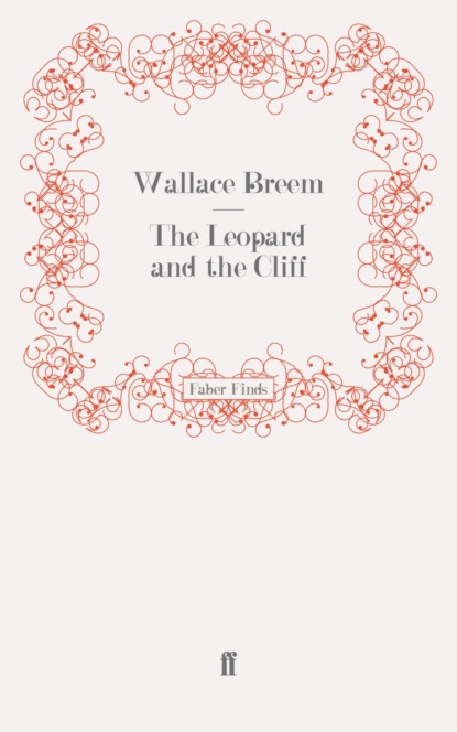 The Leopard and the Cliff