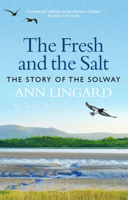 The Fresh and the Salt