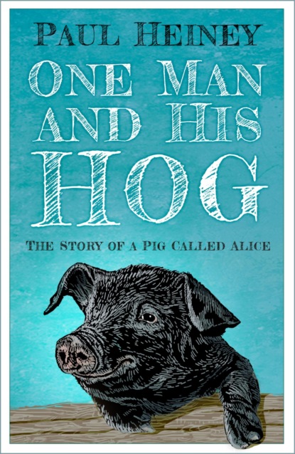 One Man and His Hog