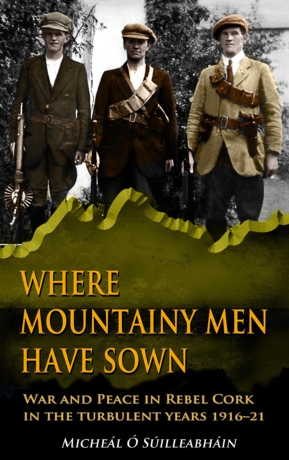 Where Mountainy Men Have Sown:War and Peace in Rebel Ireland 1916–21