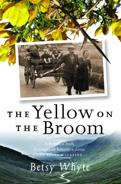 Yellow on the Broom