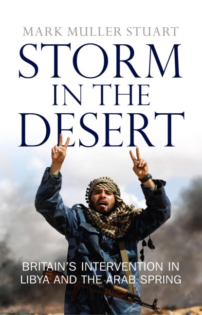 Storm in the Desert