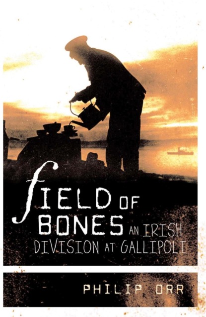 Field Of Bones