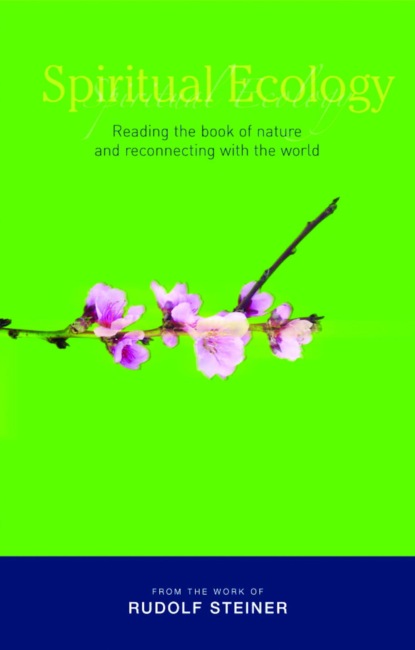 Spiritual Ecology