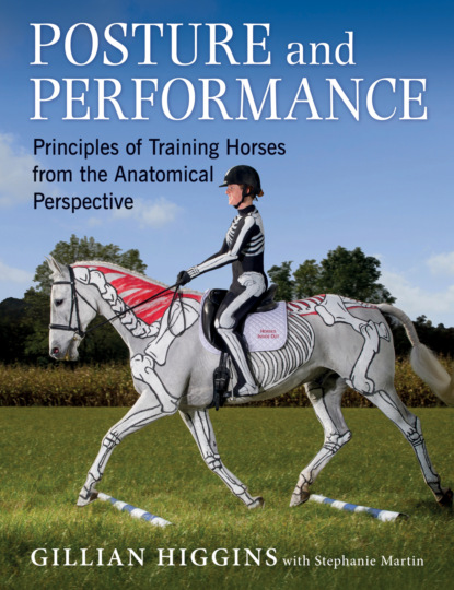 POSTURE AND PERFORMANCE