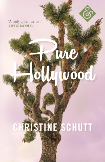 Pure Hollywood