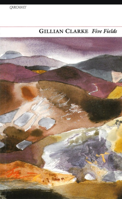 Five Fields