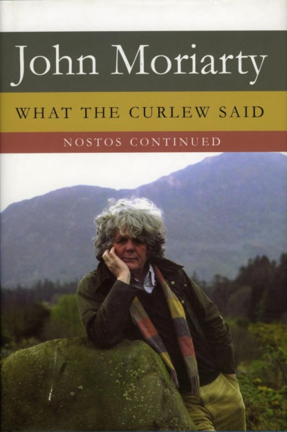 What The Curlew Said