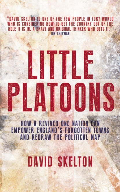 Little Platoons
