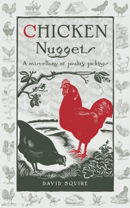 Chicken Nuggets