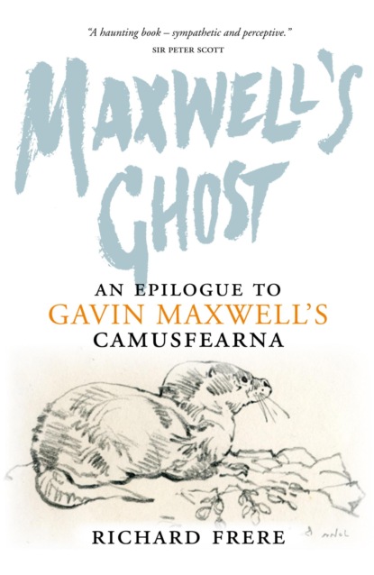 Maxwell's Ghost