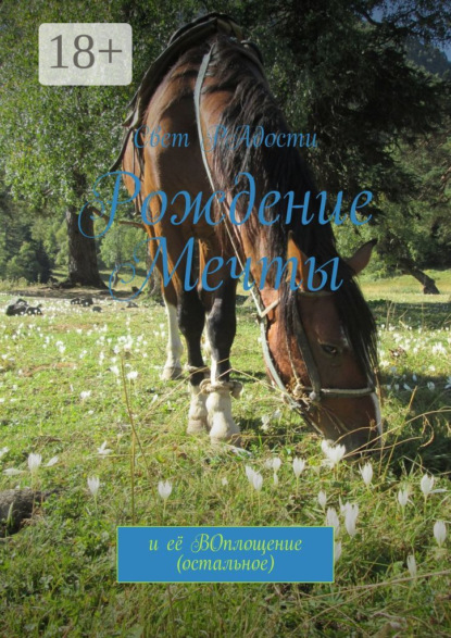 

Рождение мечты. И её воплощение (остальное)