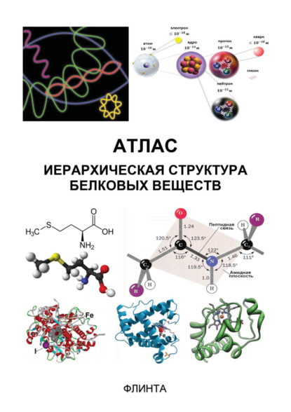 В. В. Литвяк — Атлас: иерархическая структура белковых веществ