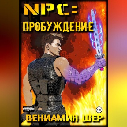 Аудиокнига «NPC. Пробуждение», Вениамин Евгеньевич Шер