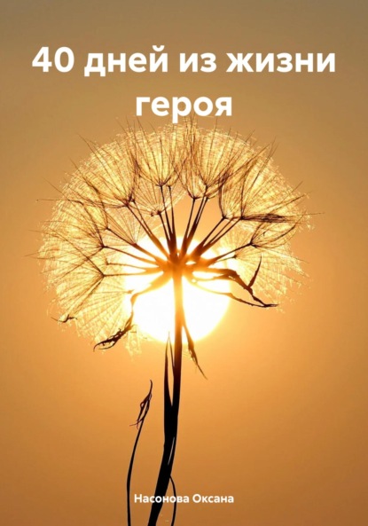

40 дней из жизни героя
