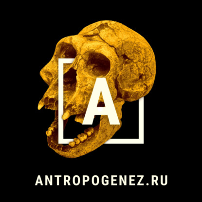 Мифы о методах датирования. Александр Соколов