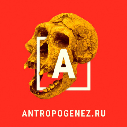 Дебаты «Убеди скептика». Биохакинг: сверхспособности или плохая наука? Ярослав Ашихмин vs Александр Панчин. Ученые против мифов 15-15