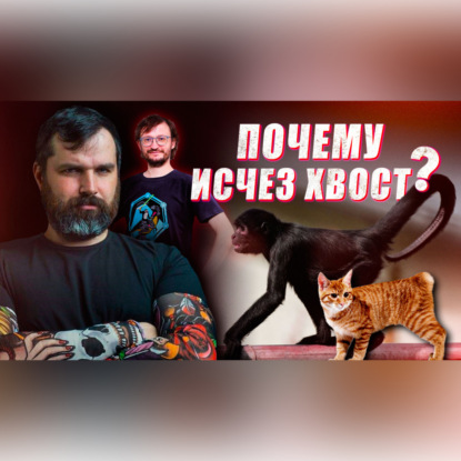 Шимпанзе играет в бутылку | Почему исчез хвост? | Соколов и Дробышевский - Новости АНТРОПОГЕНЕЗ.РУ