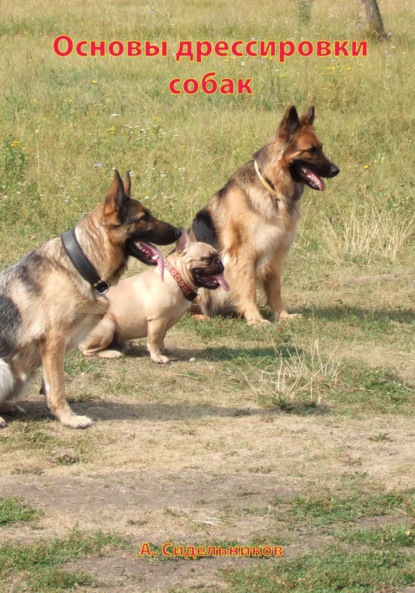 

Основы дрессировки собак